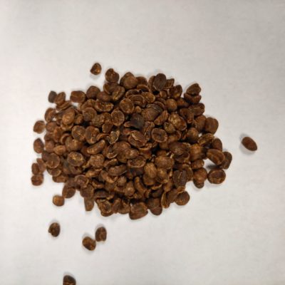 Green Coffee Beans Galapagos Islands │Shop Online Canada│Terra